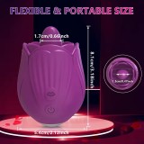 Vibratore Lingua Leccante per Clitoride – Stimolatore Oscillante e Vibrante per Clitoride e Capezzoli, Ricaricabile USB, Imperme