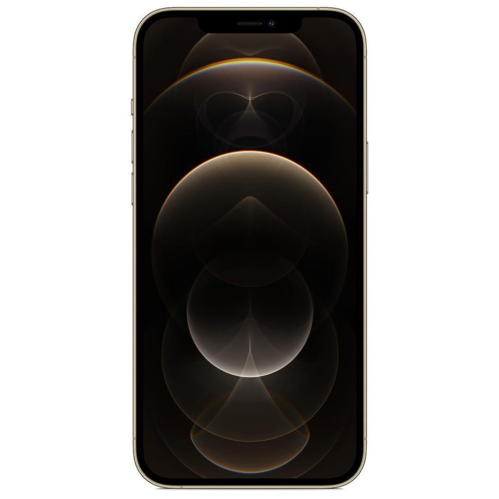 Apple iPhone 12 Pro Max: 6.7-inch Super Retina XDR & A14 Bionic