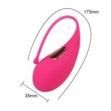 Dolphin Vibrating Egg – 10-Mode Wireless G-Spot Stimulator | Intimate Toy for Women