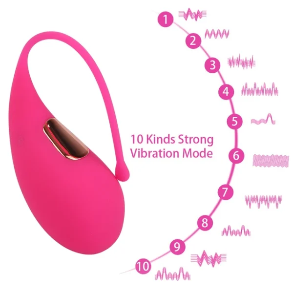 Vibrating Egg Dolphin Shape 10 Modes Vibrators Sex Toys for Women G Spot Massage Vaginal Stimulator Wireless Remote Control - Image 3