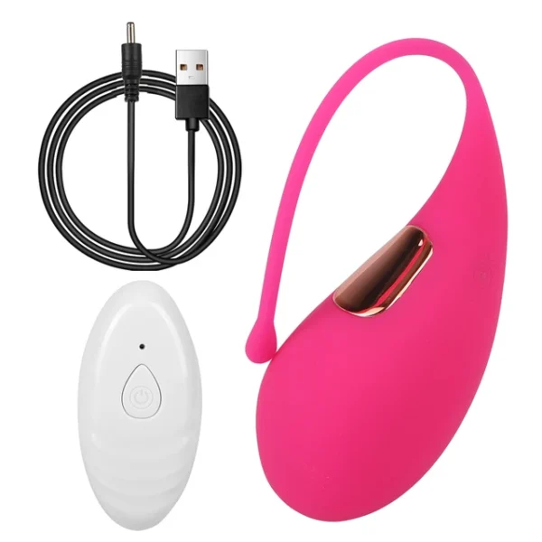 Vibrating Egg Dolphin Shape 10 Modes Vibrators Sex Toys for Women G Spot Massage Vaginal Stimulator Wireless Remote Control