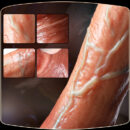 10inch Realistic Dildos Feels Like Skin Penis Soft Dildo Silicone Suction Cup Anal Dildo Lifelike Fake Dick Sex Toys for Women